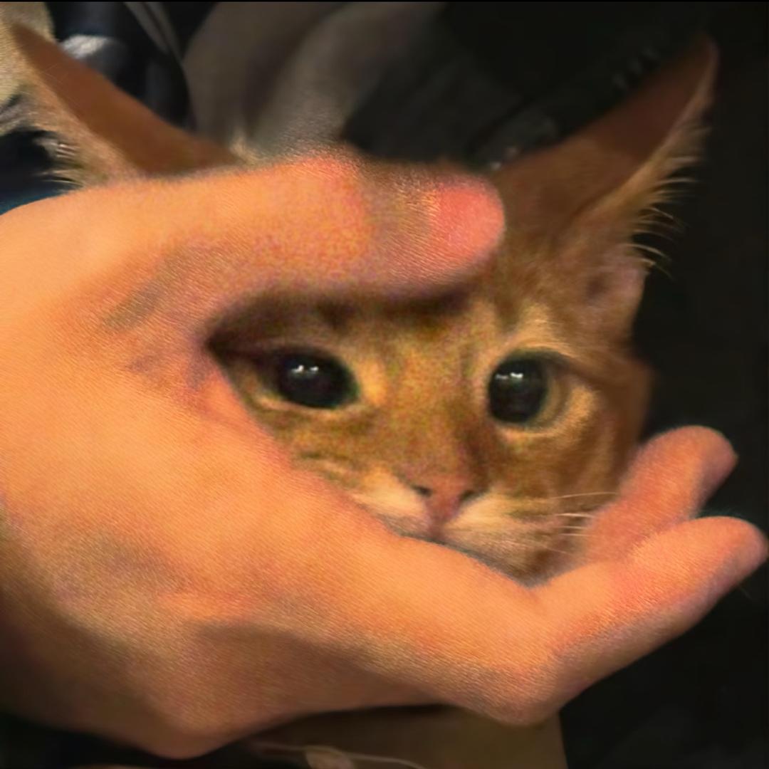 总失眠𝙞ᯅ𝙞