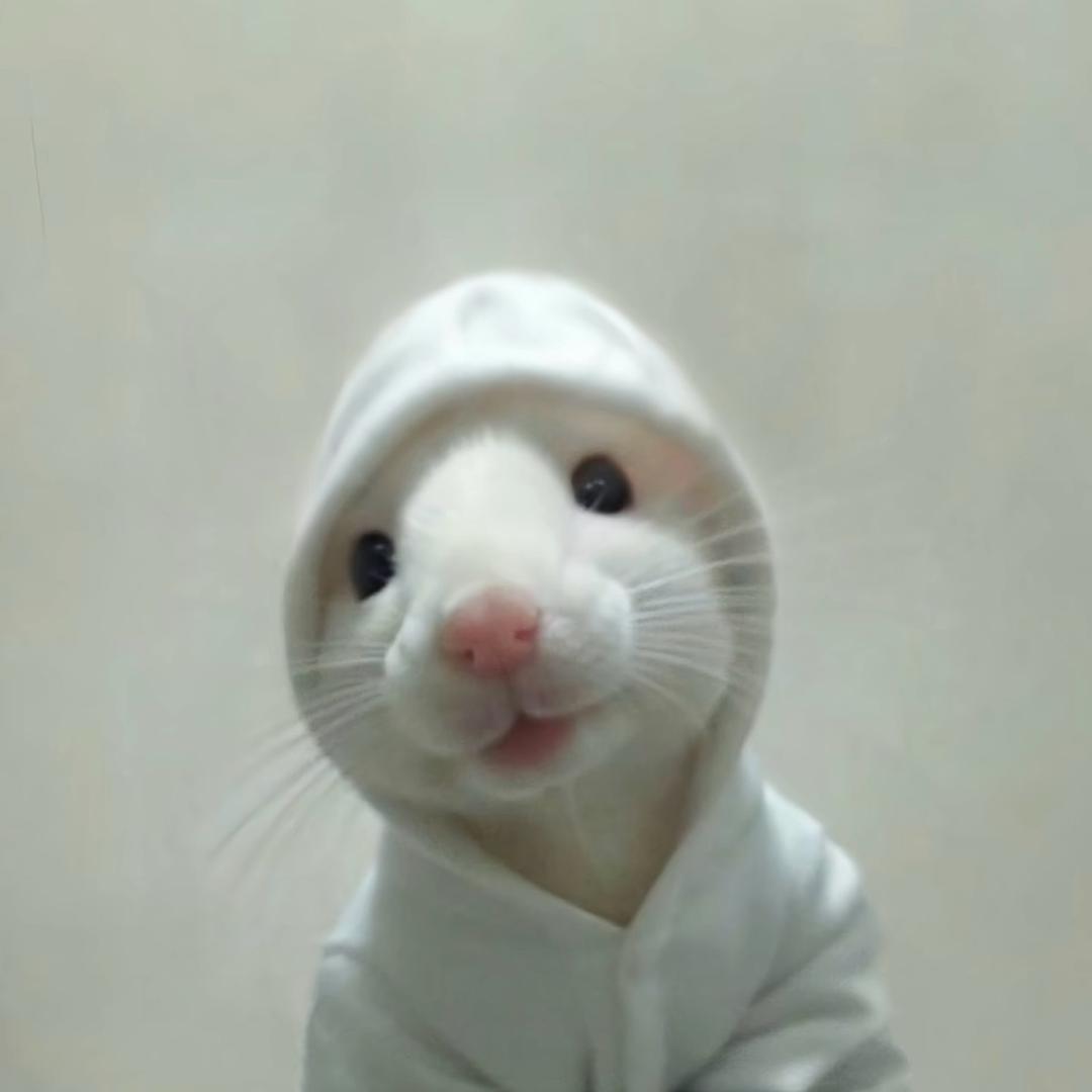 好聪莹