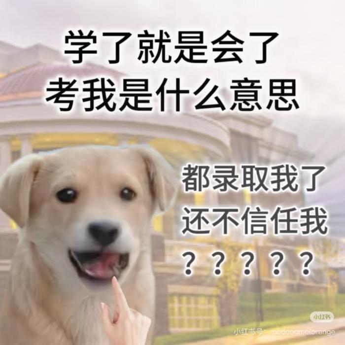 狐狸是条小金鱼（期中版）