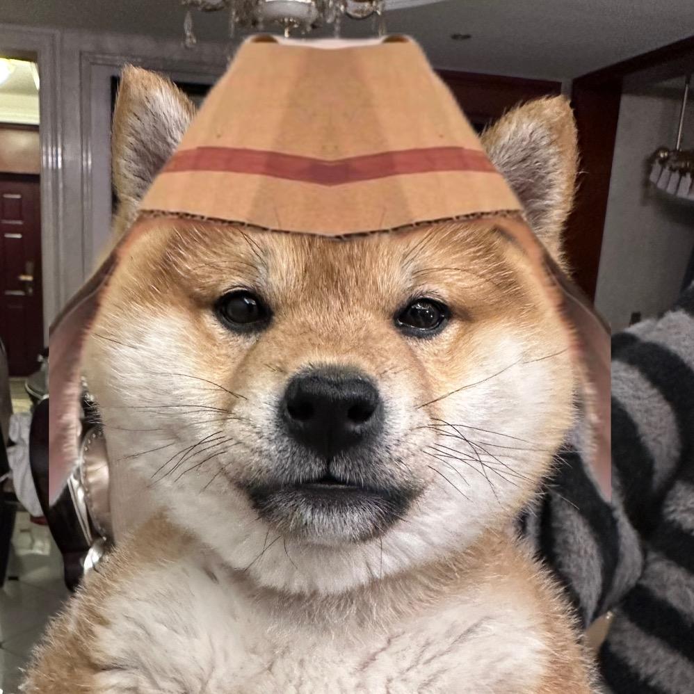 今天也想看旺柴