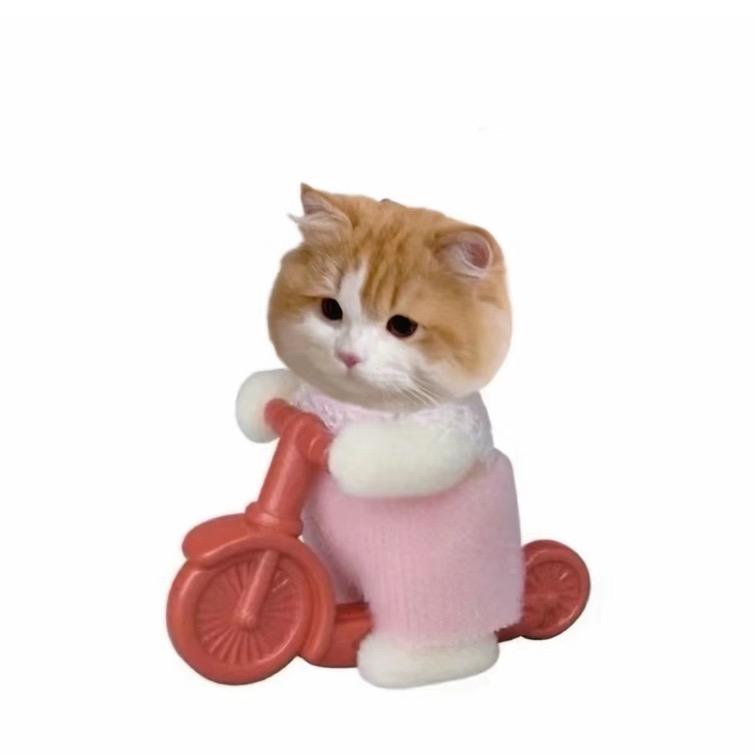 重生之数学是我债主