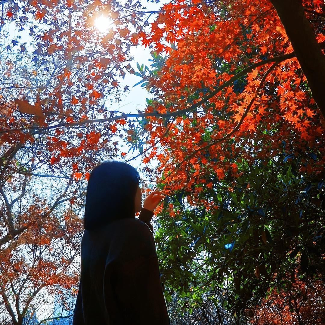 💞⃟悦ঞৣ己ೄ࿐