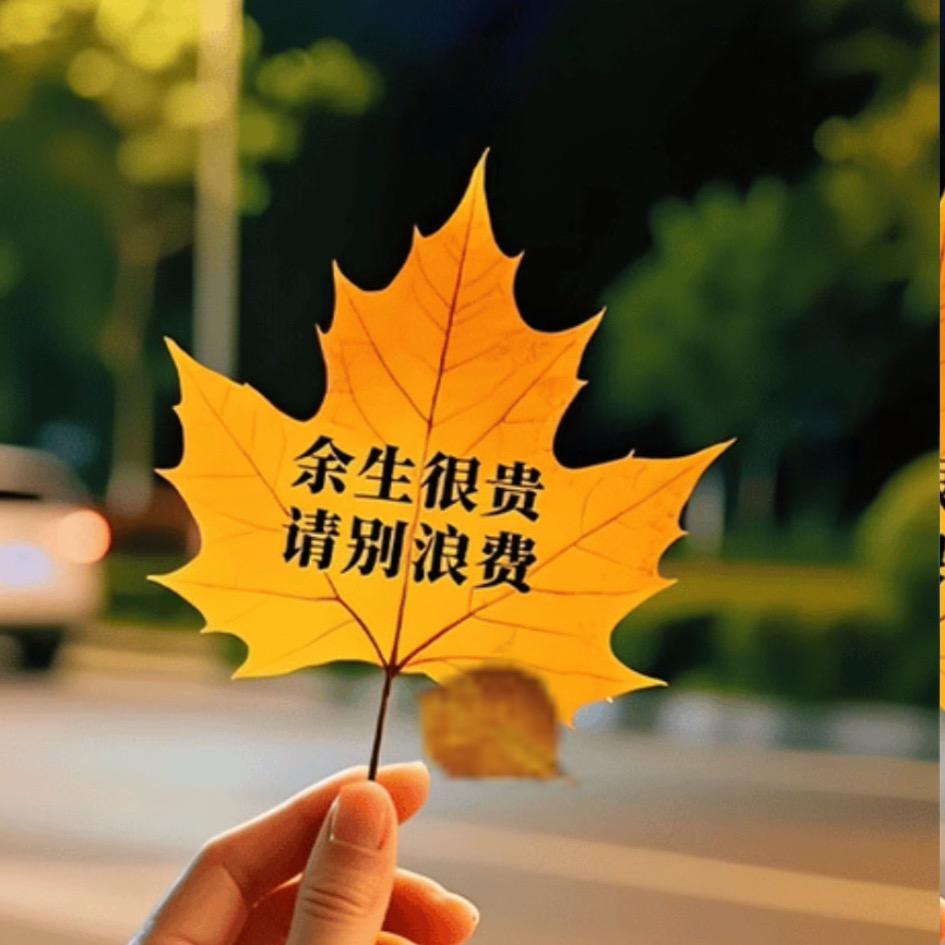 白玫瑰