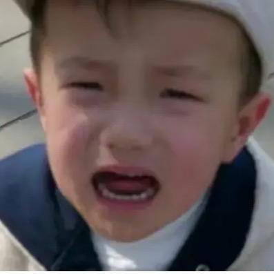 被柜子惹疯了的人类！