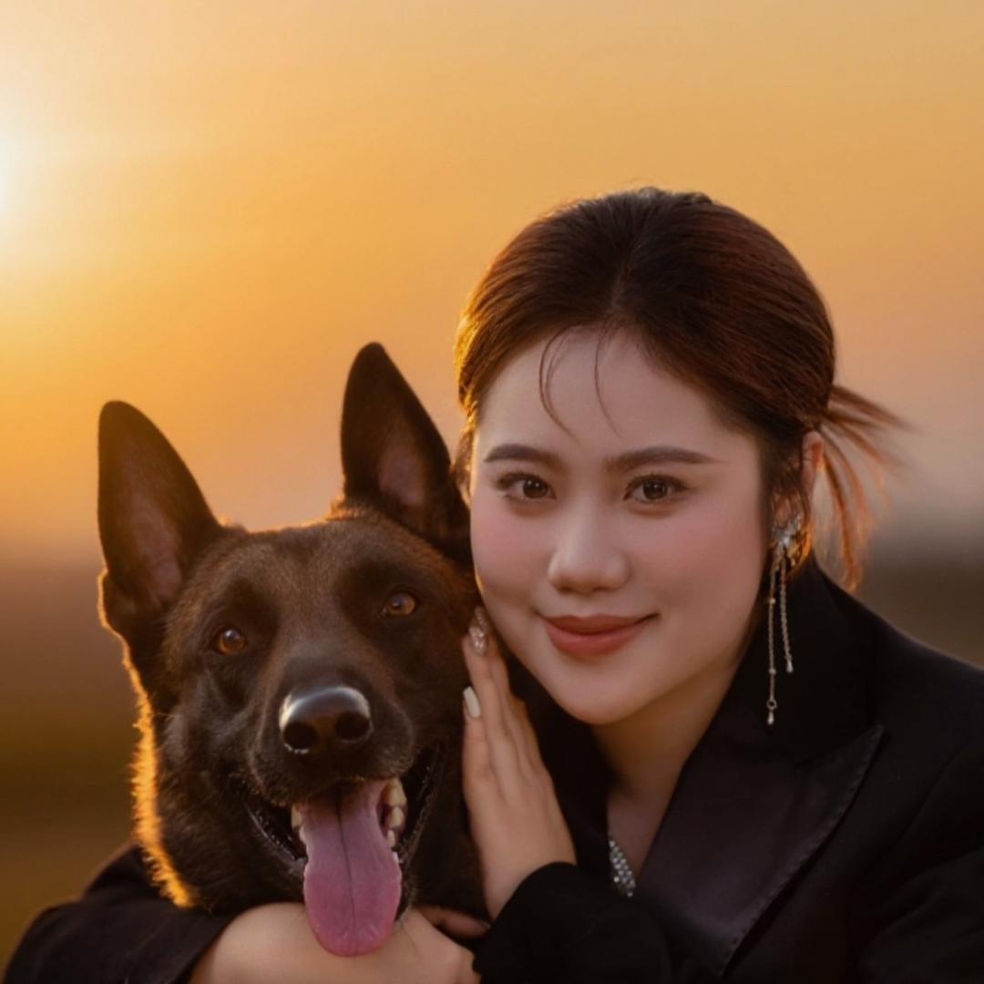 边境马犬