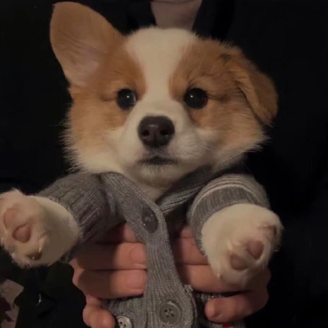 咕噜咕噜房产咨询