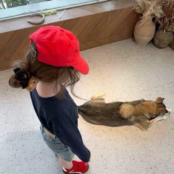 妞.