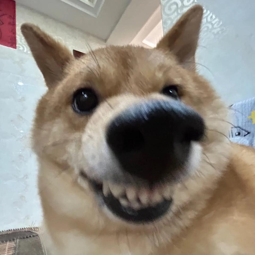 知识全都进我脑子里