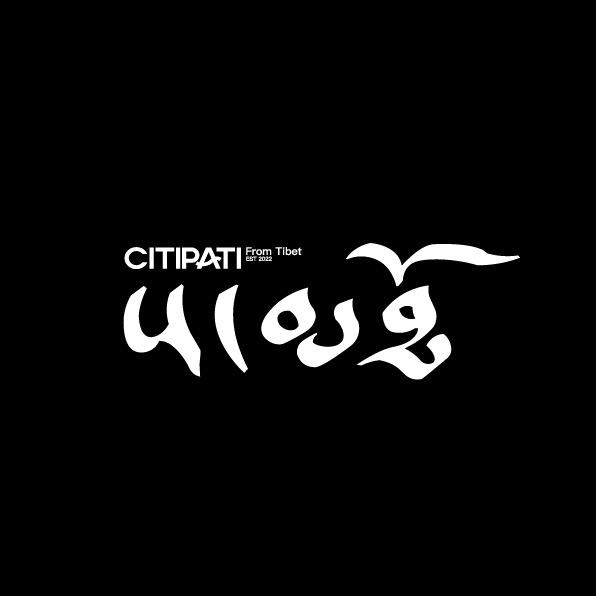 CITIPATI高反计划