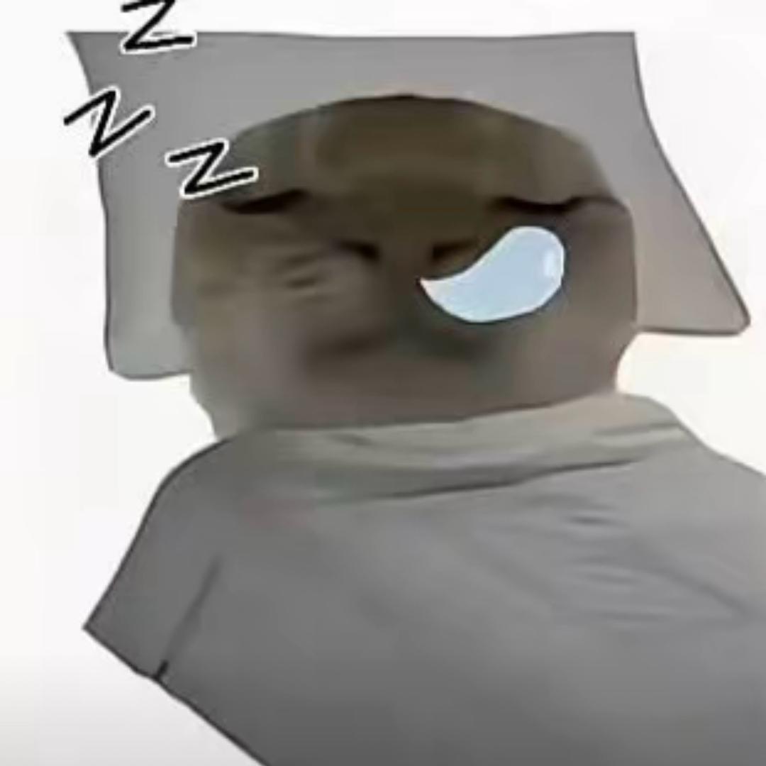 放学别打我呗