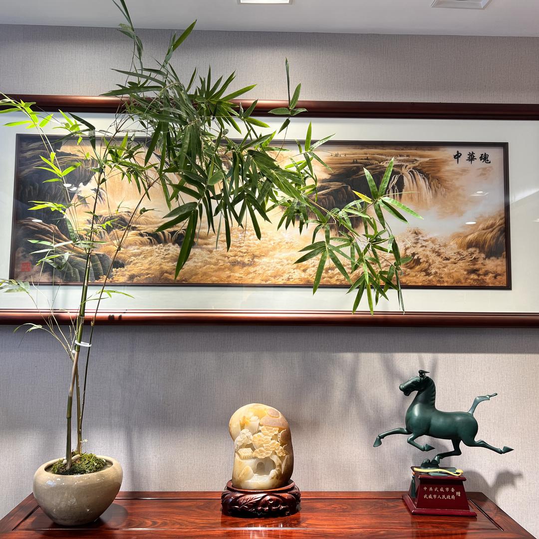 大宋红木