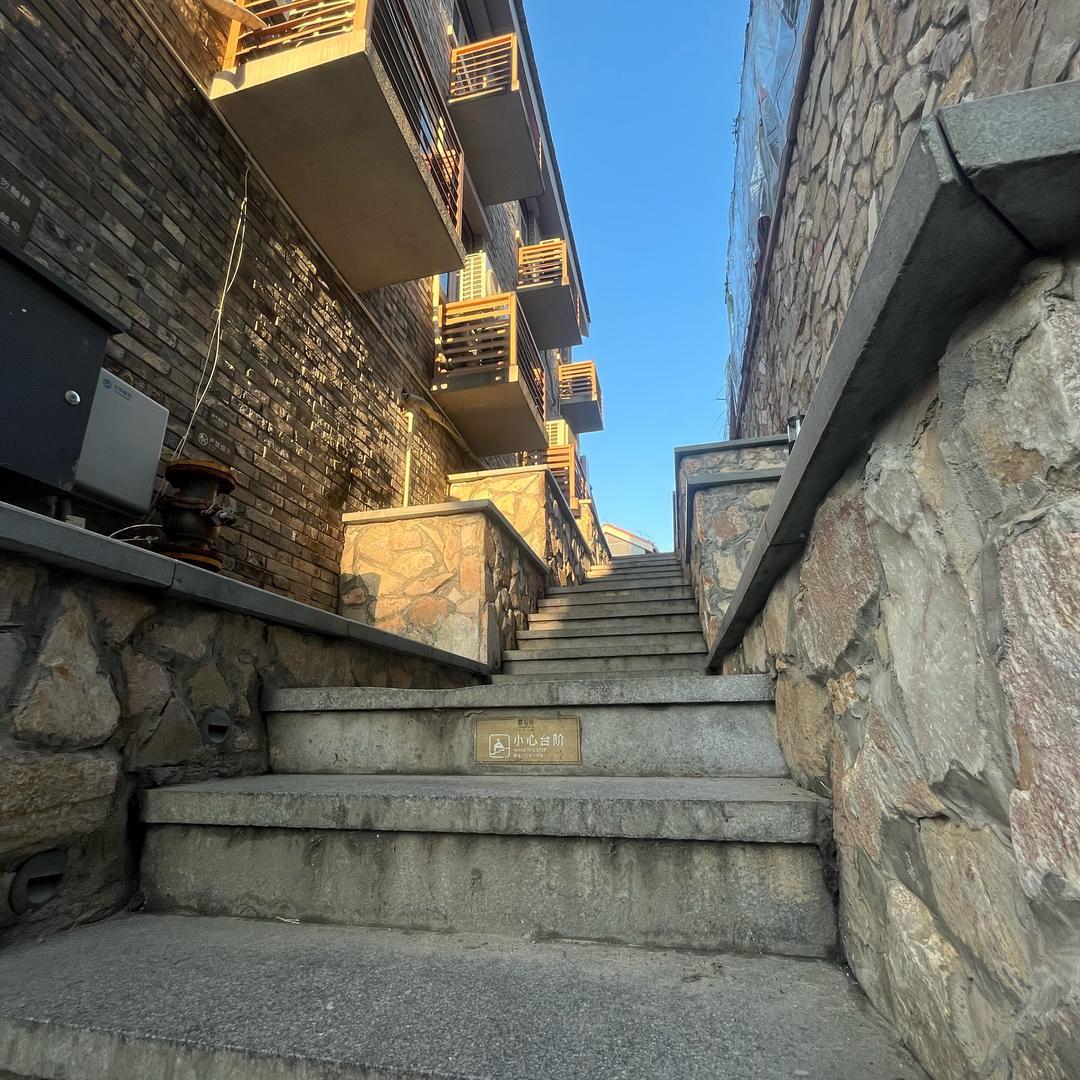 九棵树专业面包车