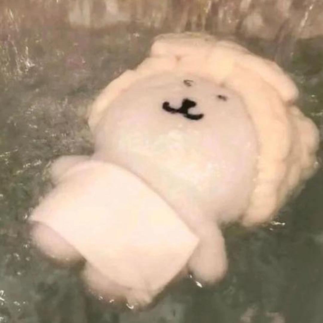 kiswtxO_o