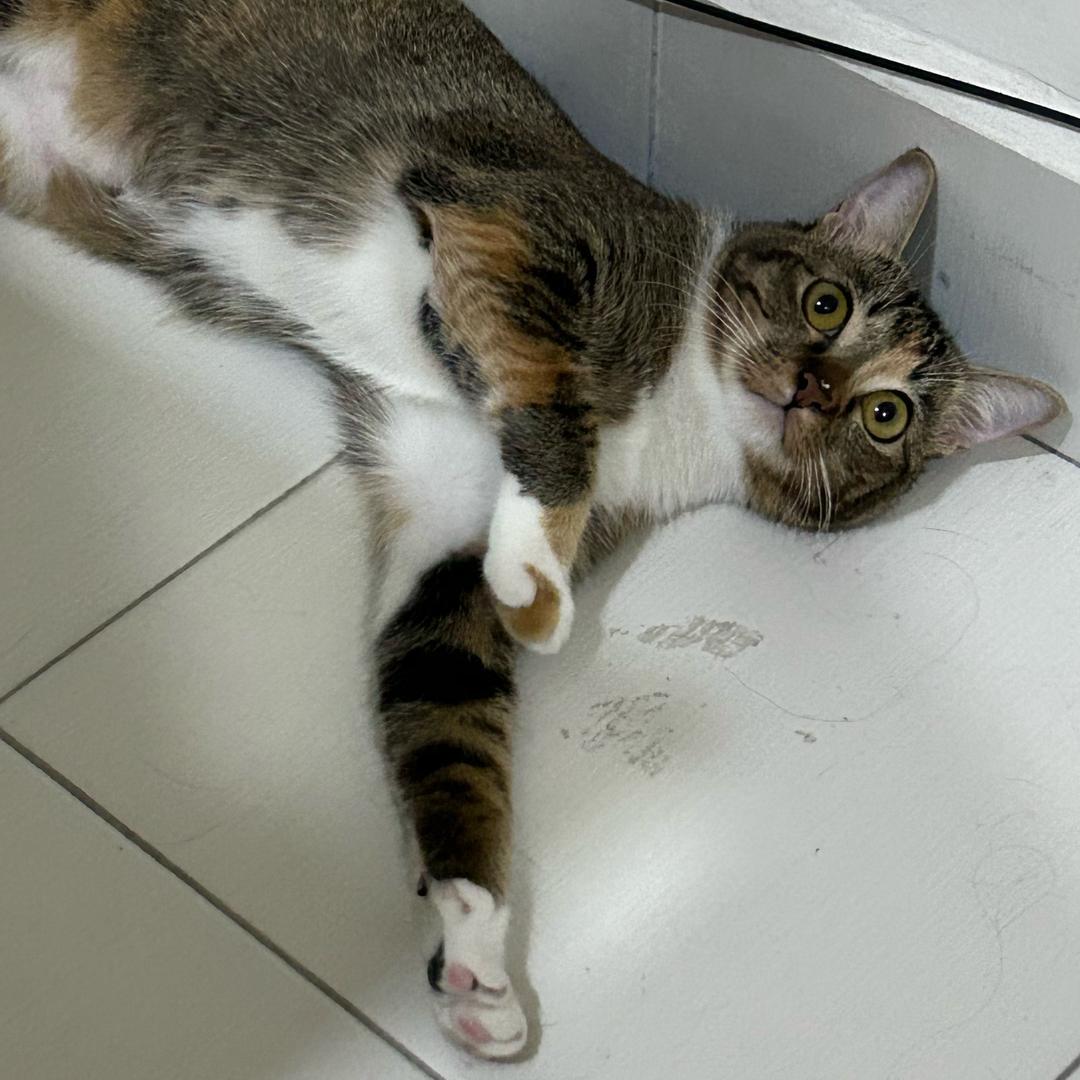 江鱼仔不是🐟是人