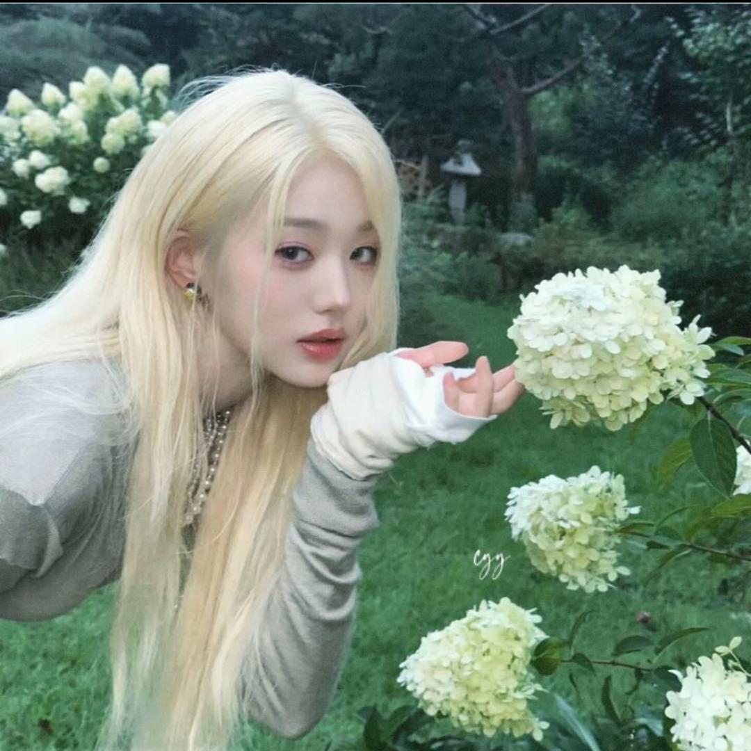 小鱼儿🦋