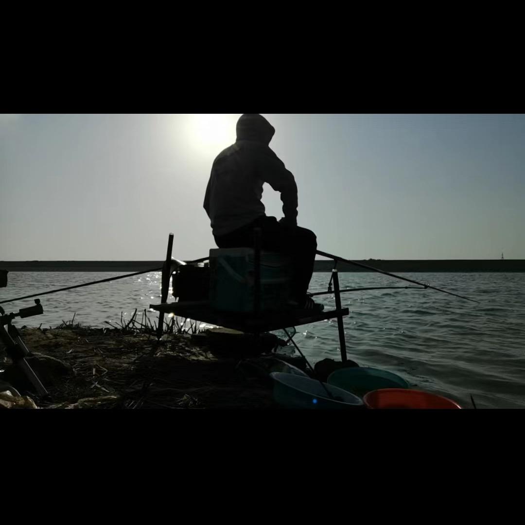 小羊安安爱钓鱼