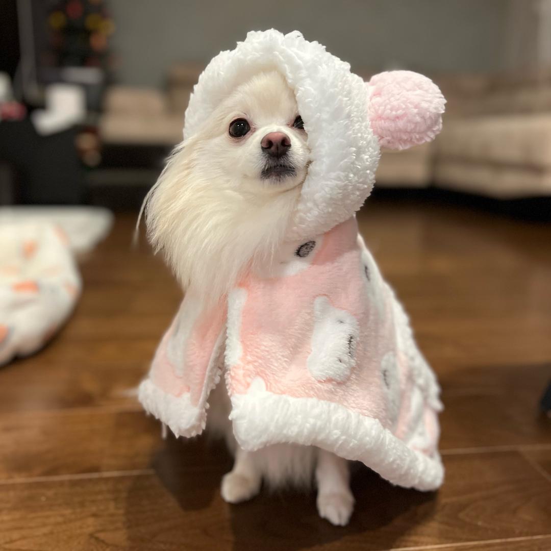 🌈Shirlyn 小雪