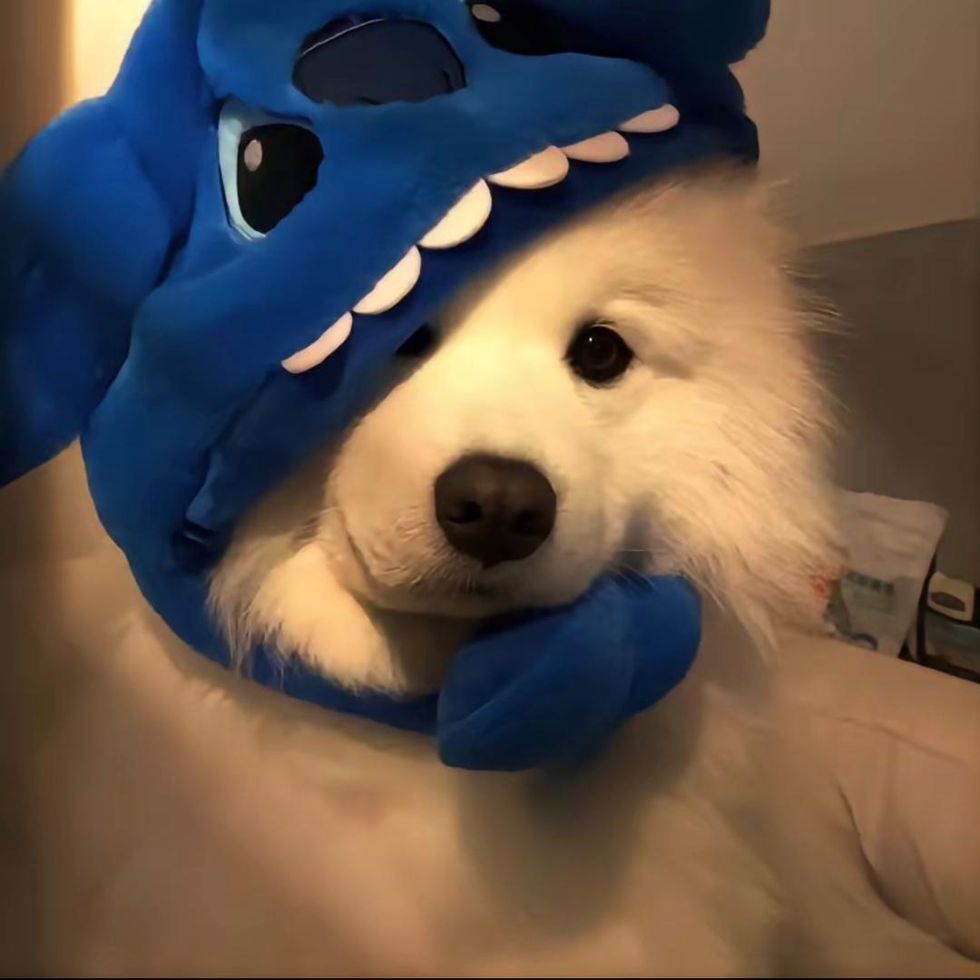 以安