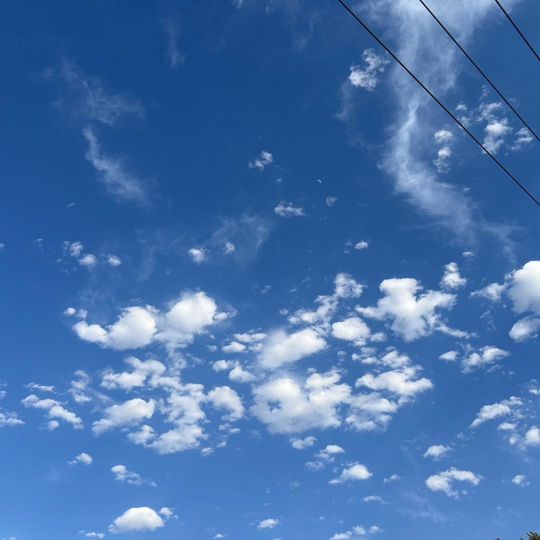 张飞阳