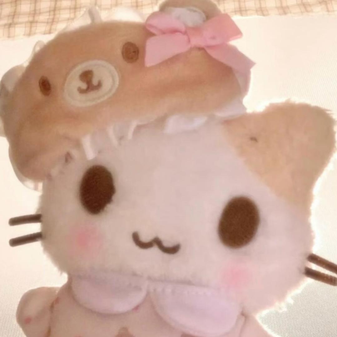 圆宝