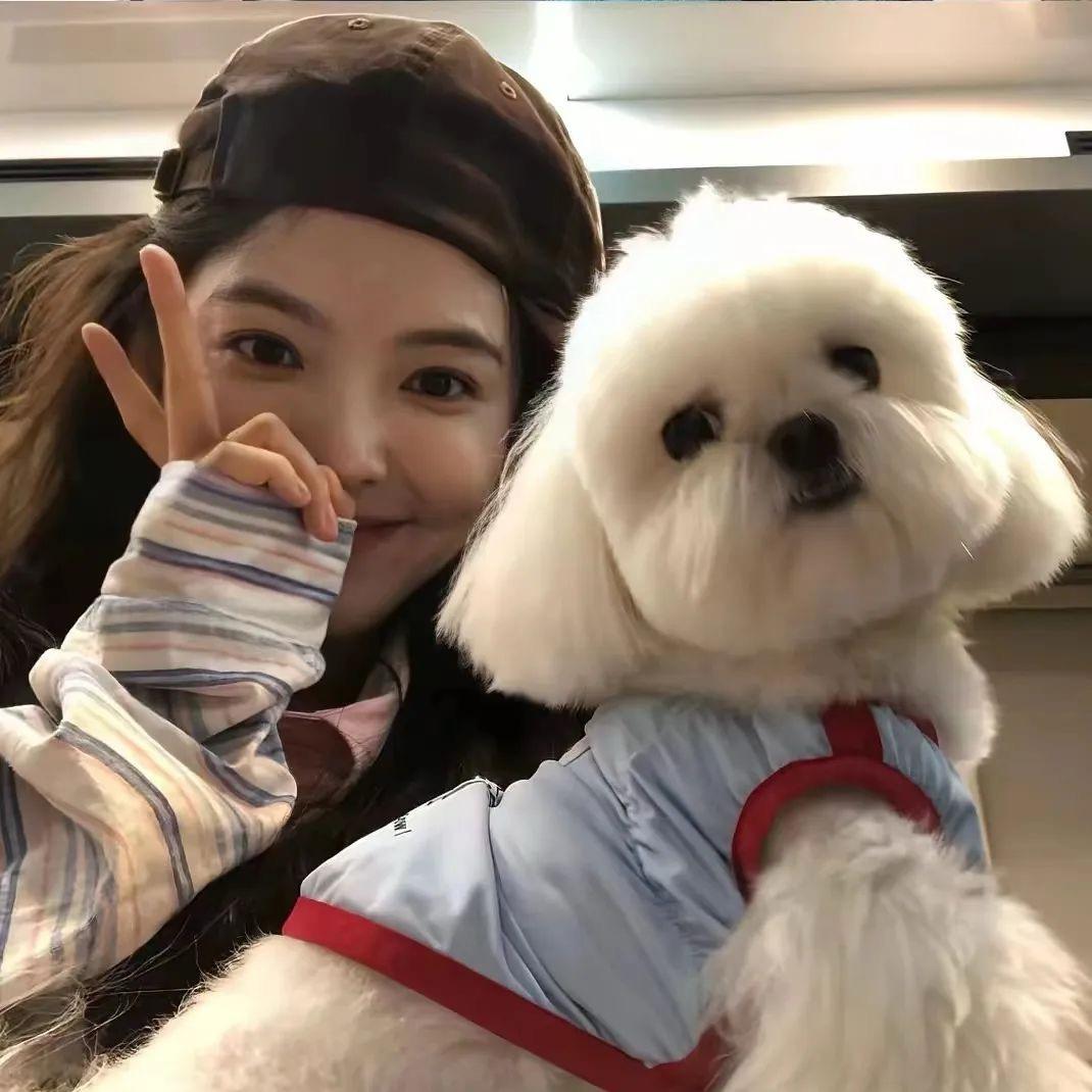 摆烂妮妮