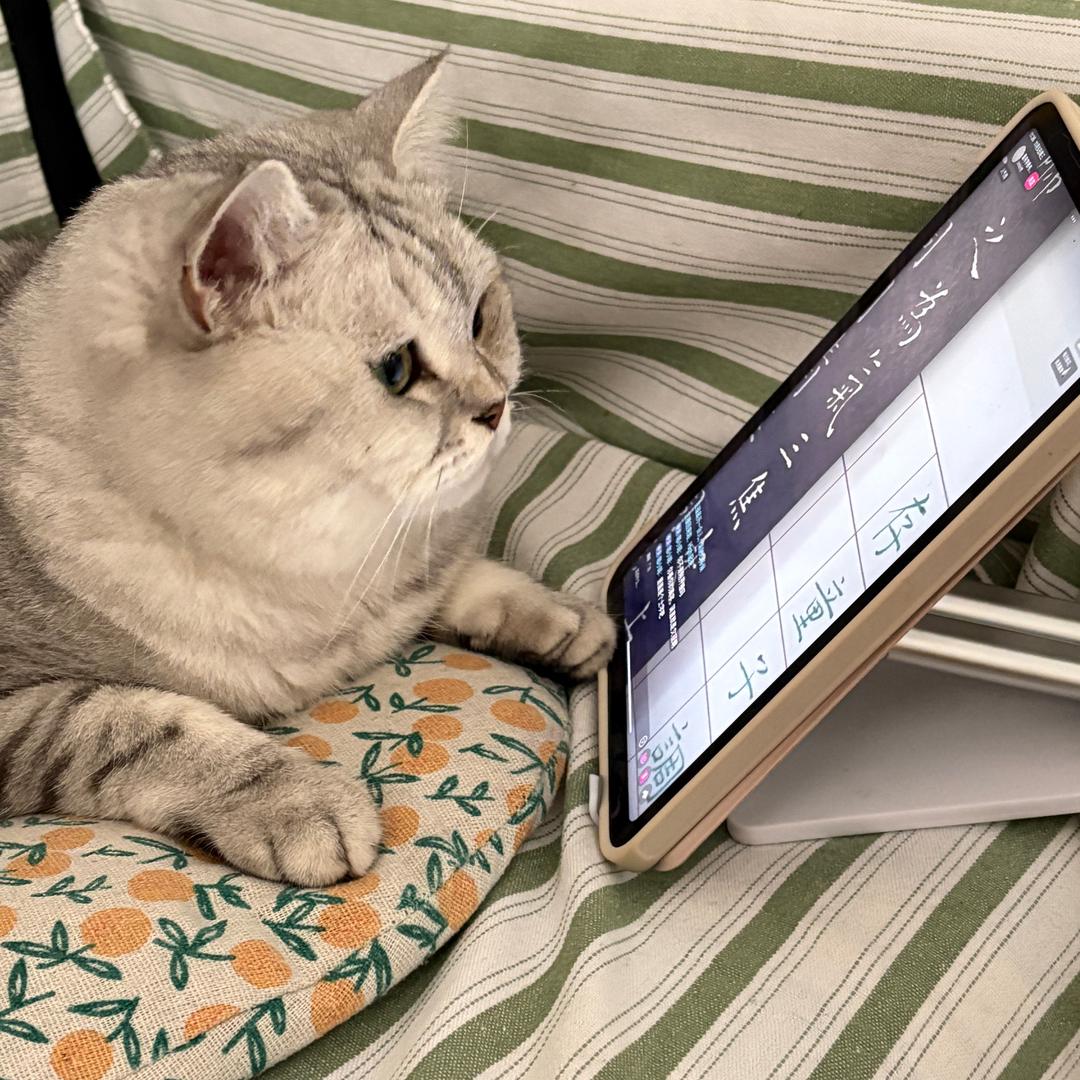 壹舟字根书法-丘丘