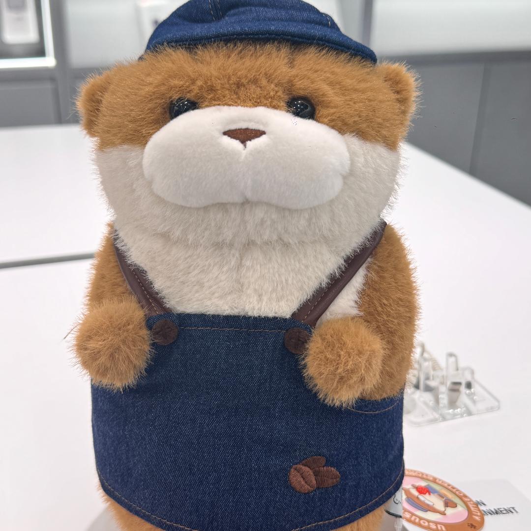 升学规划王老师