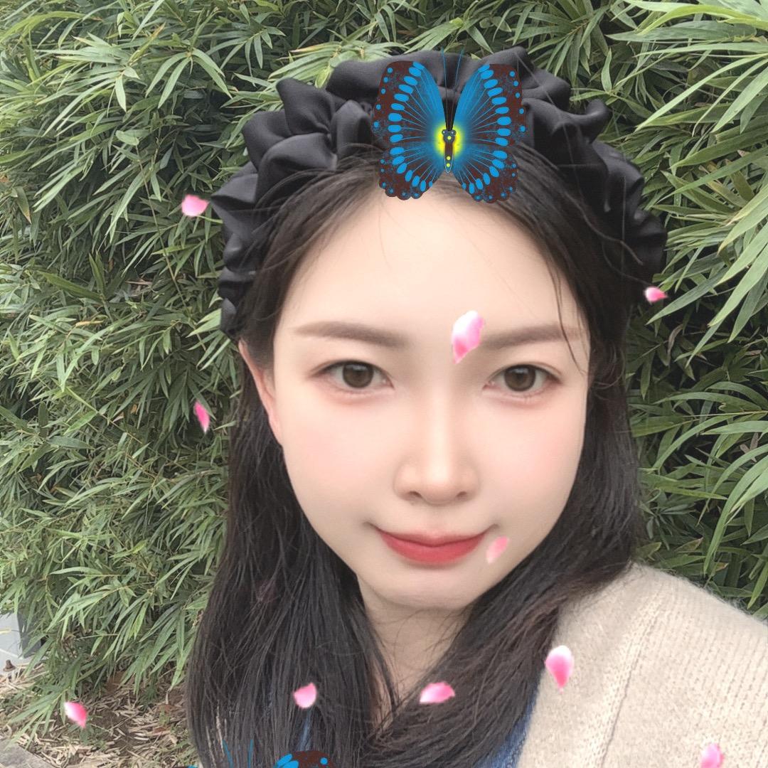 燕子（🌹🌹🌹）