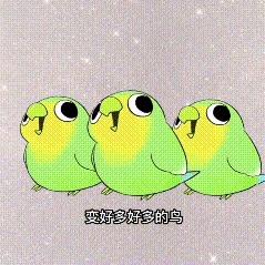 布鲁布鲁呀