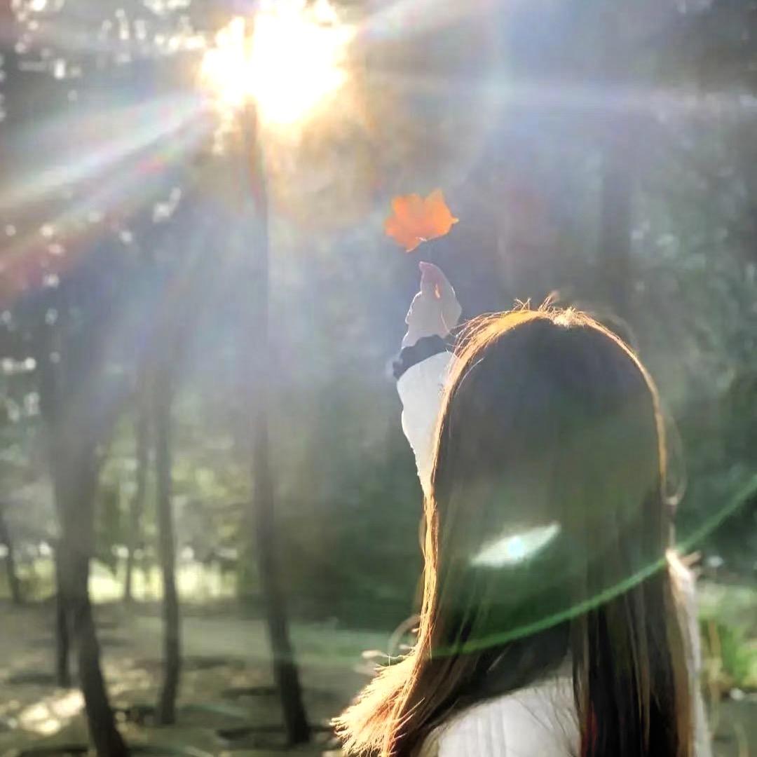 @叶子🌱🌱