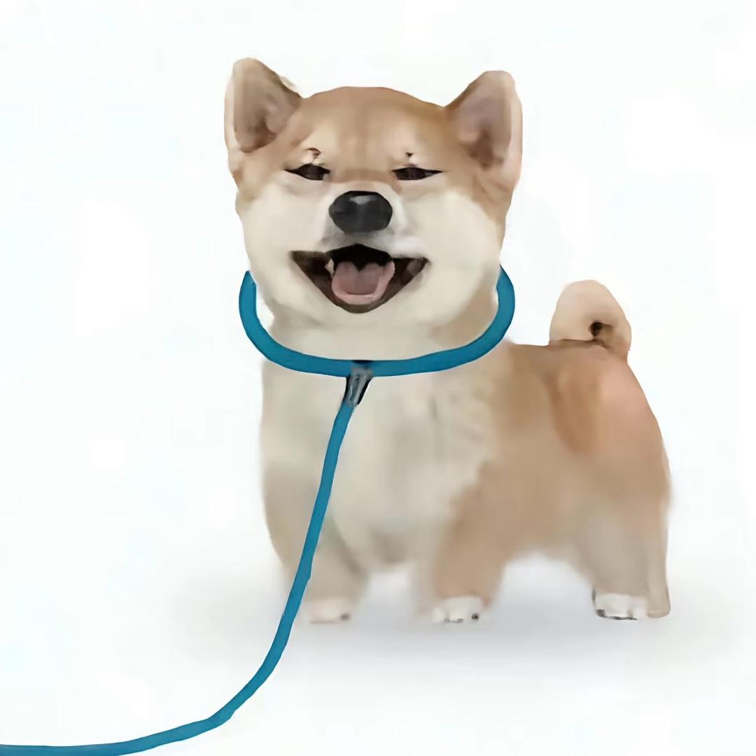 布什戈门