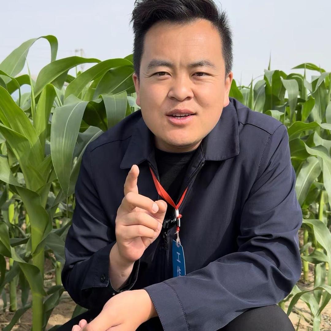 植保武老师(商品在橱窗)