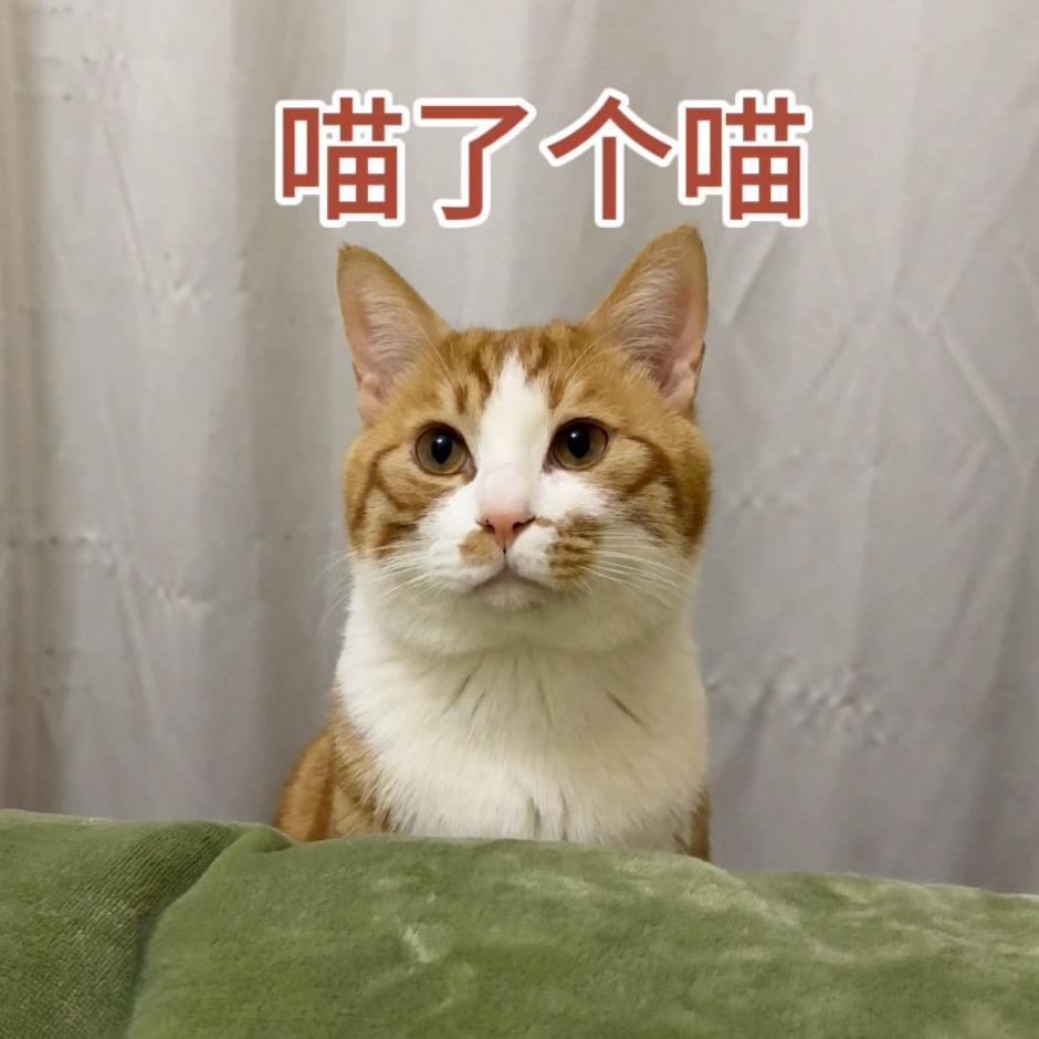 未来富🐱