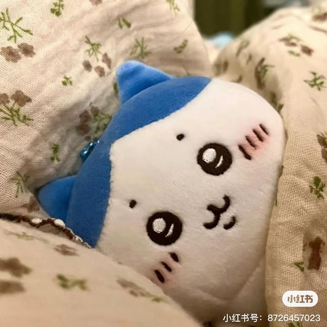 屎是大肠的积累💩