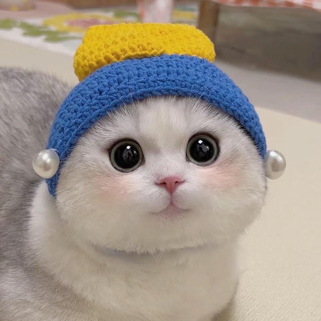心软的神💕