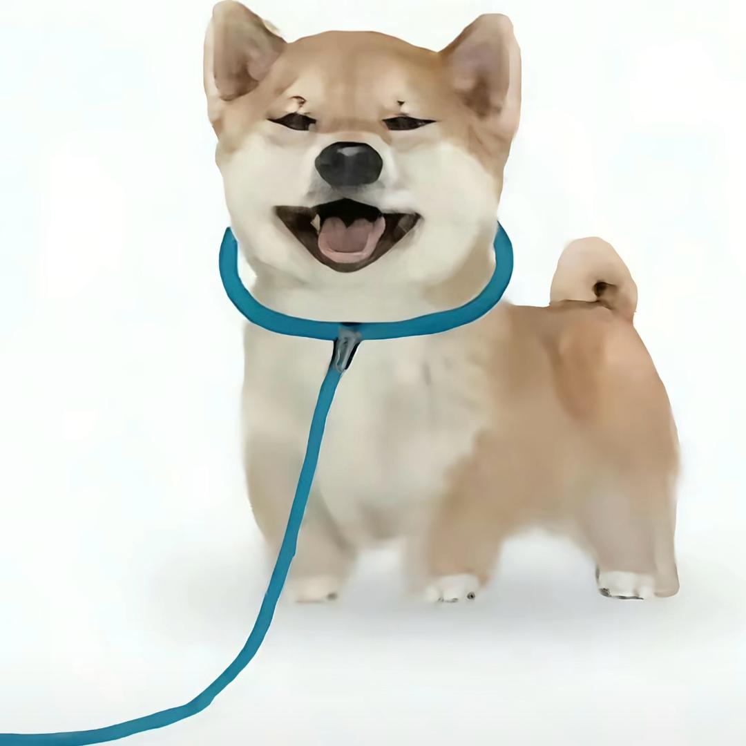 捣蛋大王零输出