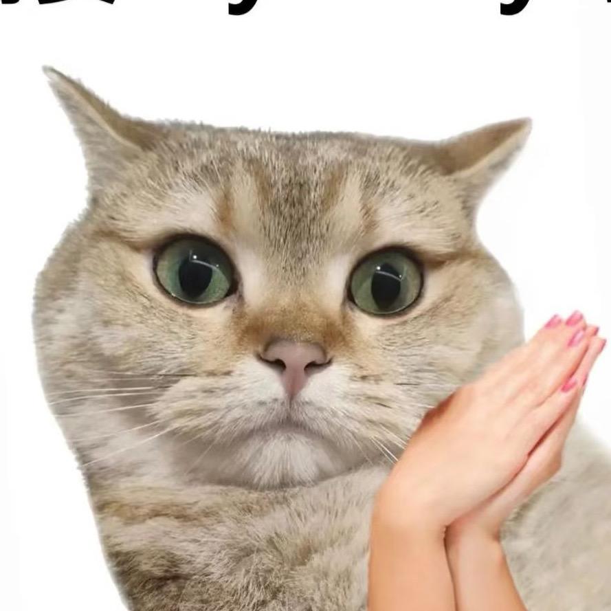 帽帽好物