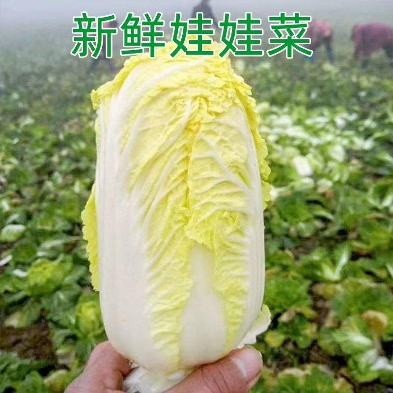 丁丁生鲜甄选