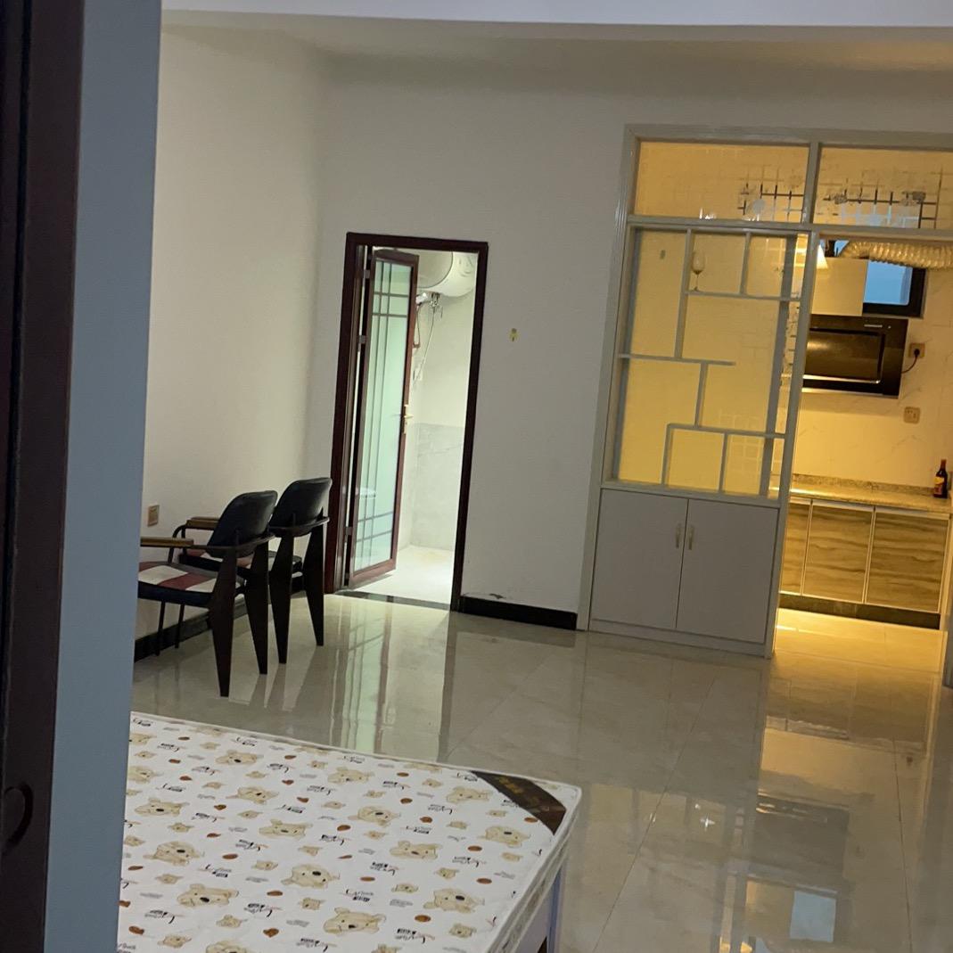 河南房东养巨贵秋田圣伯纳