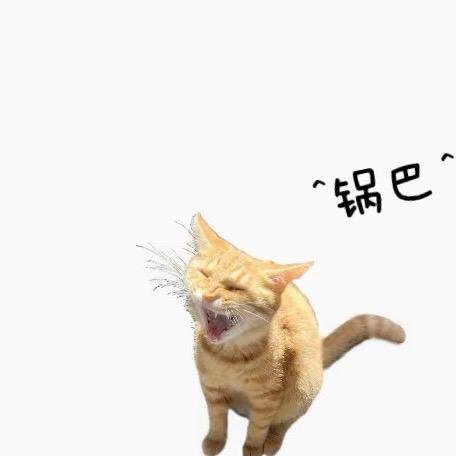 来了个LuO..