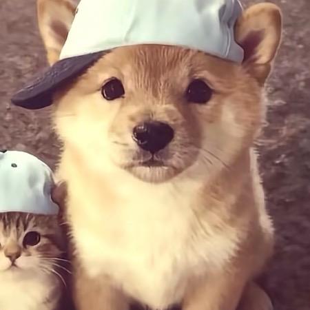 忧郁二踢脚