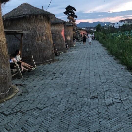 陈家二妹🌹🌹