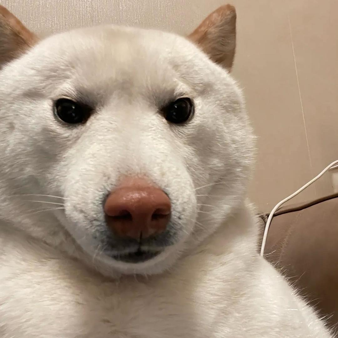 螃蟹人