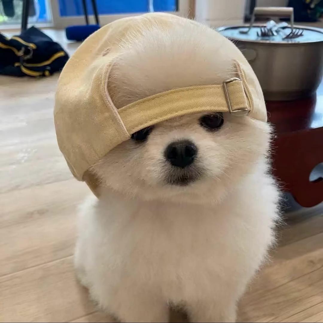 @晚安