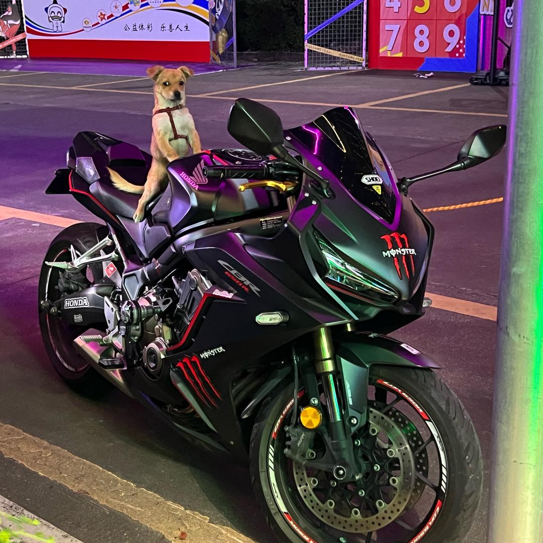 Jc🈳🐜（世界反香菜联盟)