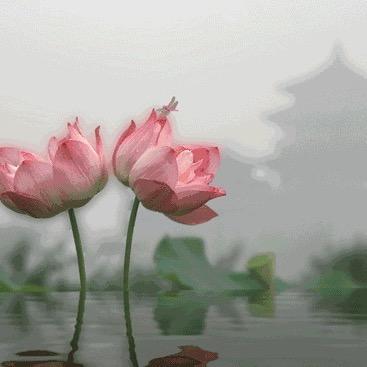思丝羽绒裤工厂