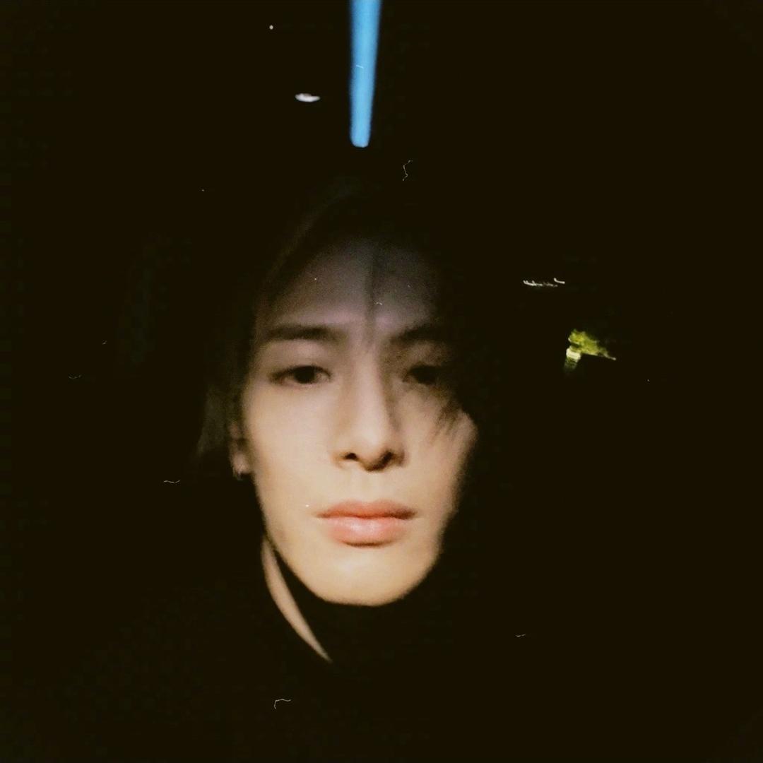 赖梨花（宠物定制）