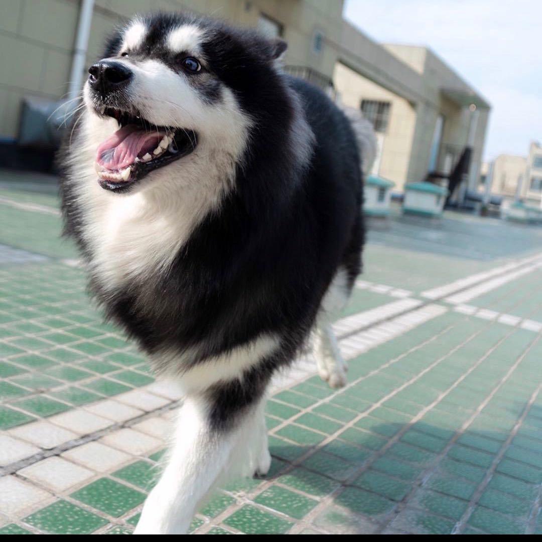 小艾优选
