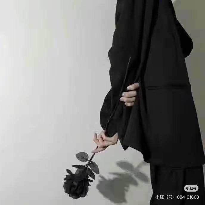 我将玫瑰藏于身后ʕ๑•ɷ•๑ʔ❀