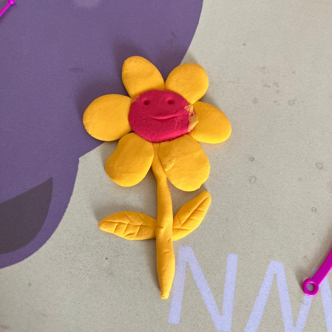 记录小阳美好生活